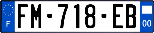 FM-718-EB