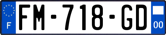 FM-718-GD