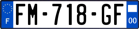 FM-718-GF