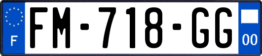 FM-718-GG