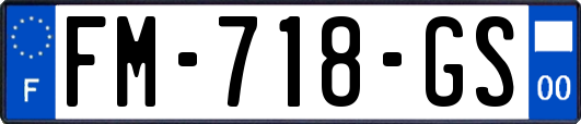 FM-718-GS