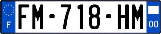FM-718-HM