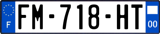 FM-718-HT
