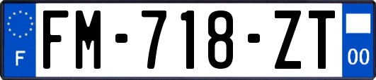 FM-718-ZT