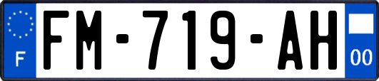 FM-719-AH