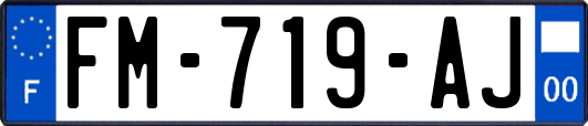 FM-719-AJ