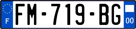 FM-719-BG