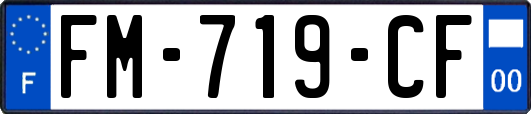 FM-719-CF