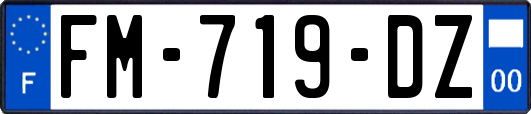 FM-719-DZ