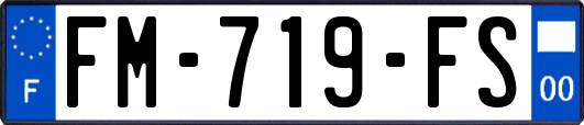 FM-719-FS