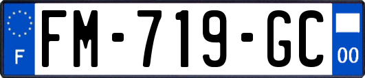 FM-719-GC