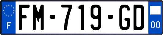 FM-719-GD