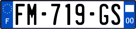 FM-719-GS