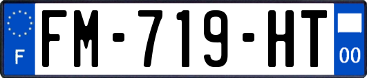 FM-719-HT