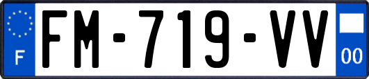 FM-719-VV
