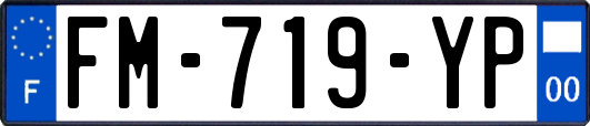 FM-719-YP