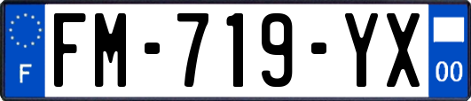 FM-719-YX