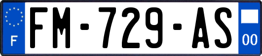 FM-729-AS