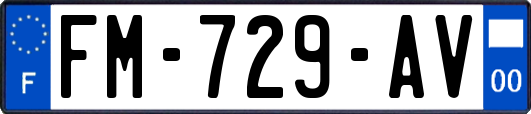 FM-729-AV