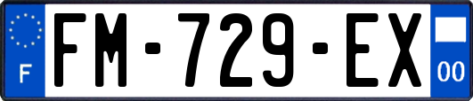 FM-729-EX
