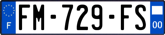 FM-729-FS
