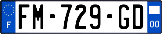 FM-729-GD