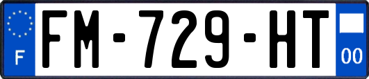 FM-729-HT