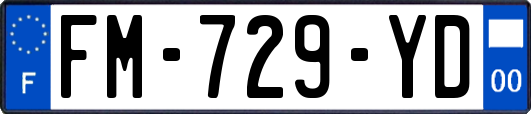 FM-729-YD