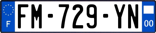 FM-729-YN