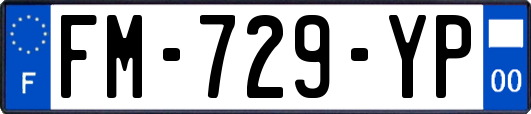 FM-729-YP