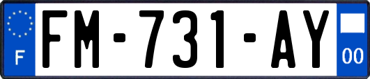 FM-731-AY