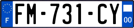 FM-731-CY