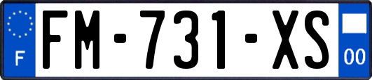 FM-731-XS