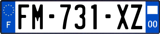 FM-731-XZ