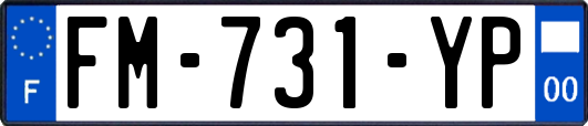 FM-731-YP