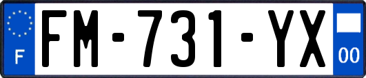 FM-731-YX