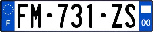 FM-731-ZS