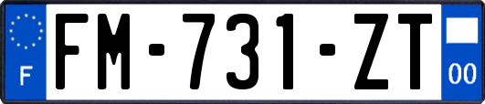 FM-731-ZT