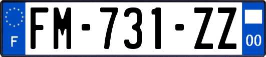 FM-731-ZZ