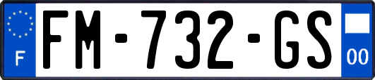 FM-732-GS