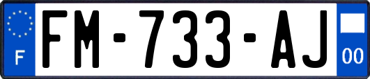 FM-733-AJ