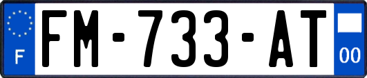FM-733-AT