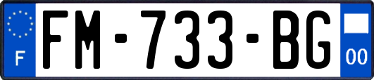 FM-733-BG