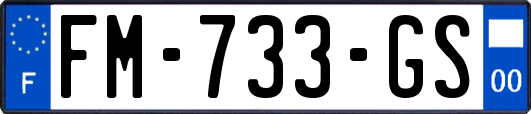 FM-733-GS