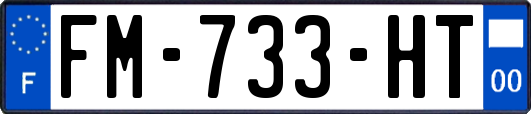 FM-733-HT