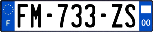 FM-733-ZS