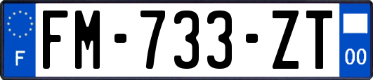 FM-733-ZT