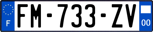 FM-733-ZV