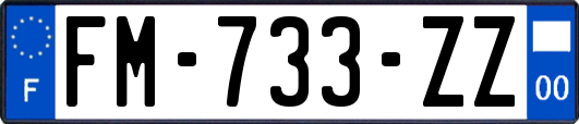 FM-733-ZZ