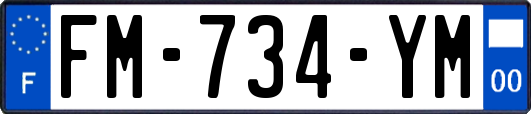 FM-734-YM